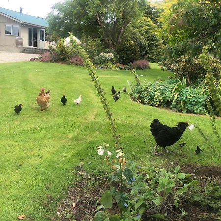إنفيركارجِِيل Southland Organic Farmstay المظهر الخارجي الصورة